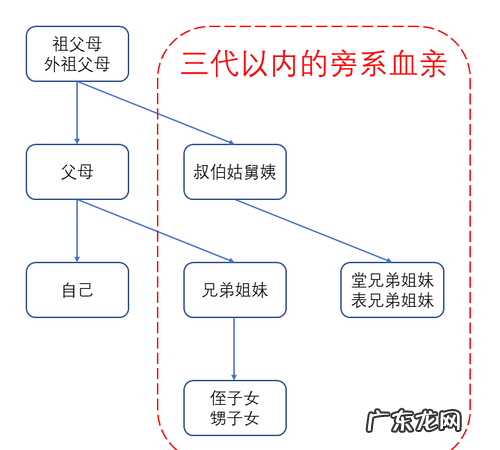三代以内亲属包括哪些,直系三代亲属是指哪些人
