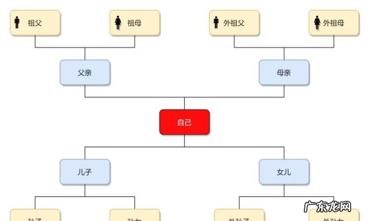 三代以内亲属包括哪些,直系三代亲属是指哪些人