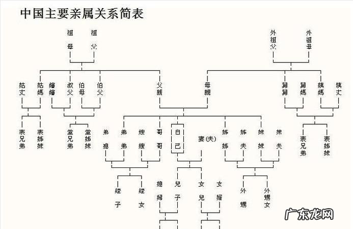 三代以内亲属包括哪些,直系三代亲属是指哪些人