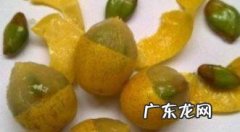 哪些水果的果核可以吃,菠萝蜜的核能吃有什么功效