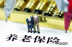 手机为什么补缴不了养老保险,断交养老金怎么补缴