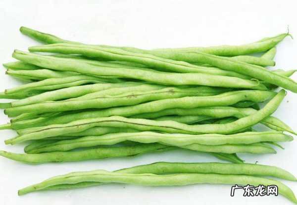 四季豆没煮熟可以吃,四季豆不熟吃了会怎样