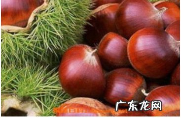 栗子高压锅煮多长时间能熟,去壳板栗要煮多久才能熟