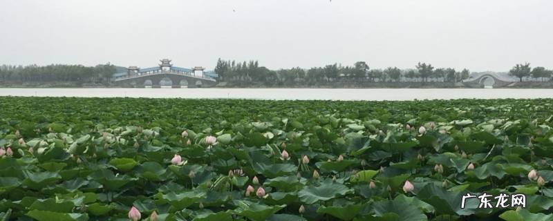 红岩旅游景点 红岗区景点