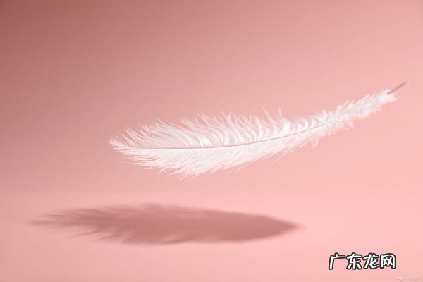 灰鸭绒和白鹅绒的区别,白鸭绒和灰鸭绒哪种好