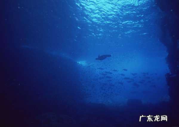 海水中的氧气怎么来的,海中氧气来处 海洋中千千万万的生物需要氧气其氧气从何而来_百度知 ...