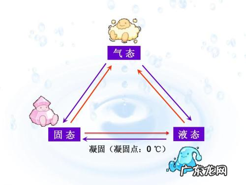 生活中水的变化有哪些,你在生活中看到水的变化了莹莹怎么说