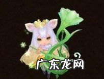 天龙八部闪星是几星珍兽,天龙手游珍兽九星和八星的区别是什么