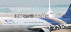 酒精能上飞机,少量酒精能带上飞机