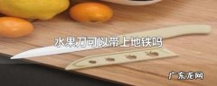 小水果刀能带上地铁,水果刀能过地铁安检门