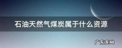 煤炭石油天然气是什么能源,石油天然气煤炭被称为什么能源