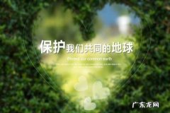 有关保护环境的资料,保护环境的资料有哪些资料