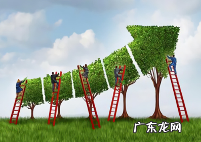 有关保护环境的资料,保护环境的资料有哪些资料