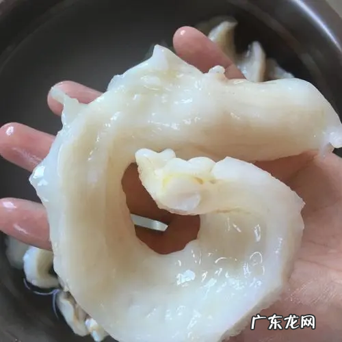花胶能用开水泡发吗,花胶用冷水泡还是热水 花胶要泡多久时间
