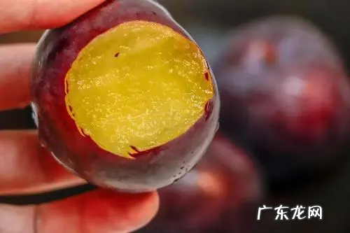 吃黑布林有什么好处,吃黑布林有什么好处和坏处