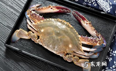 梭子蟹冻死了还能吃,冻死的梭子蟹可以吃