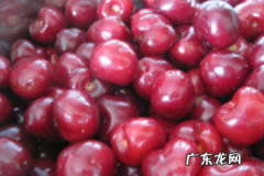 樱桃泡酒三年还能喝,野樱桃能否泡高度白酒喝