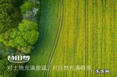哪些属于全谷物食品,全谷物食品有哪些好处