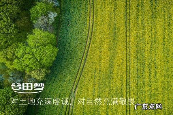 哪些属于全谷物食品,全谷物食品有哪些好处
