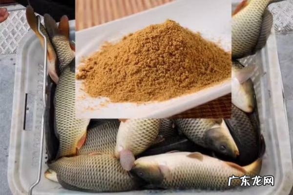 小黄面和什么搭配最合理,小黄面钓鲤鱼怎么搭配其他饵料