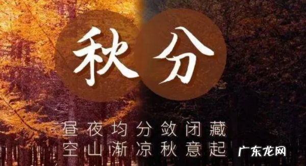 秋分是进入秋天,秋分是秋季的第几个节气