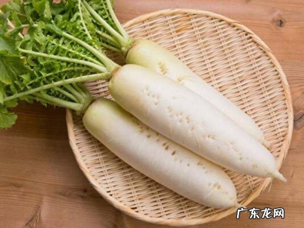 吃白萝卜有什么作用,老年人多吃萝卜有哪些好处