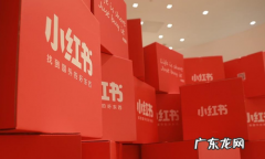 苹果手机iphone 商店怎么没有小红书,苹果手机不载不了小红书是什么原因
