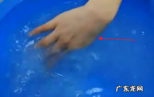 金纺泡衣服要泡多久,金纺泡毛衣服要泡多久