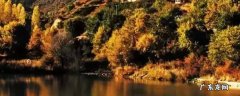 浮山县旅游景点 浮山县景点