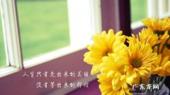 怎么把主空间应用转到隐私空间,怎么把手机应用移到隐私空间