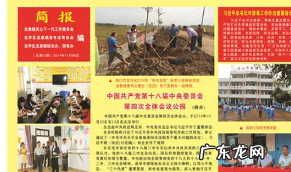 简报的种类有哪些,简述金融风险的含义、特点和主要类型