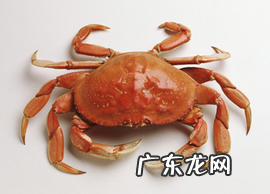 螃蟹膏是苦的怎么回事,螃蟹的糕为什么是绿色的