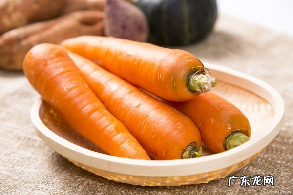 吃萝卜有什么好处,吃白萝卜有什么好处