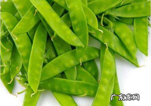 扁豆吃不了的怎样冷冻保存,扁豆怎么保存时间长