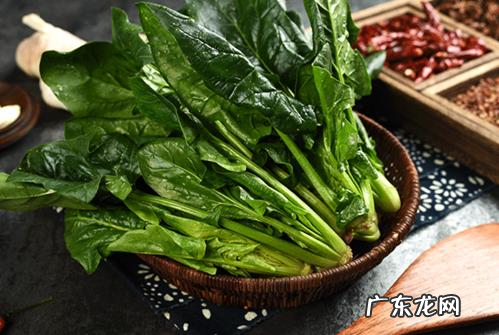 吃菠菜要注意些什么,吃菠菜要注意什么事项