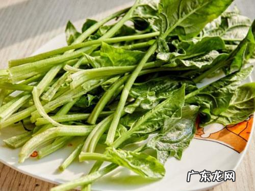 吃菠菜要注意些什么,吃菠菜要注意什么事项