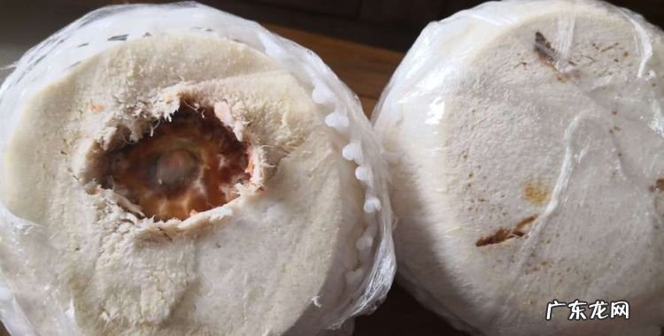 如何找到椰子上的软孔,椰子孔在哪个位置图示