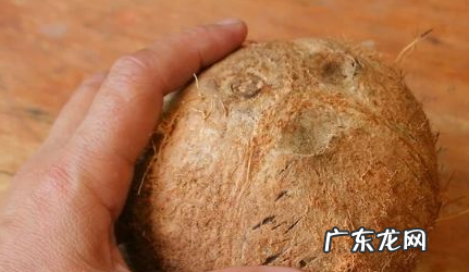如何找到椰子上的软孔,椰子孔在哪个位置图示