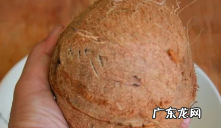 如何找到椰子上的软孔,椰子孔在哪个位置图示