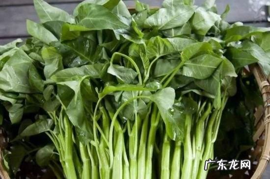 烤盘可以烤什么,一般的家用烤盘可以烤什么东西