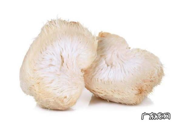 猴头菇可以冷冻保存,猴头菇可以冷冻保存