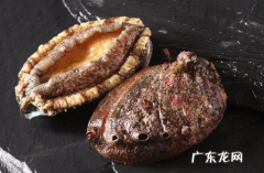 死掉的鲍鱼还可以吃,冬天鲍鱼死了一天还能吃