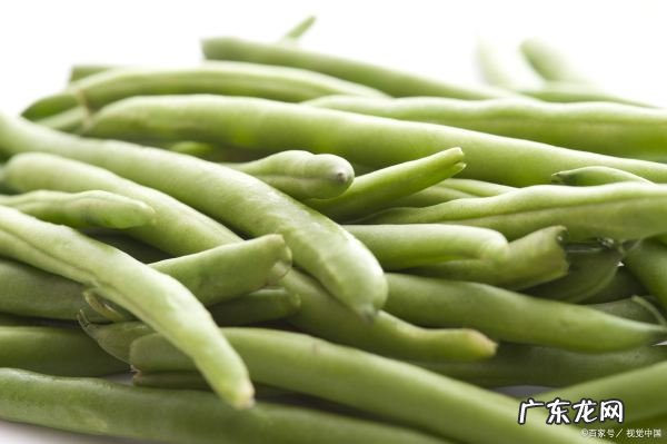 四季豆有斑点还能吃,四季豆有黄斑还能吃