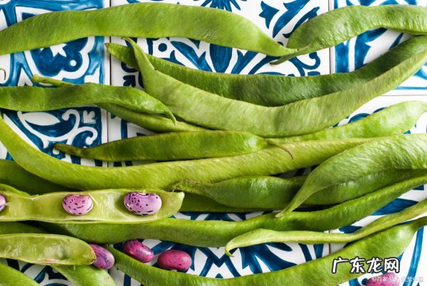 四季豆有斑点还能吃,四季豆有黄斑还能吃