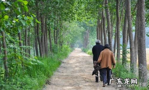 老人坚持住托老所法律支持,关于老人赡养问题的法律法规最新