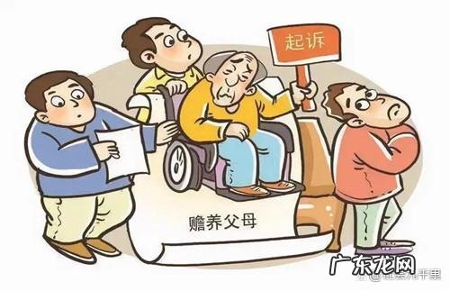老人坚持住托老所法律支持,关于老人赡养问题的法律法规最新