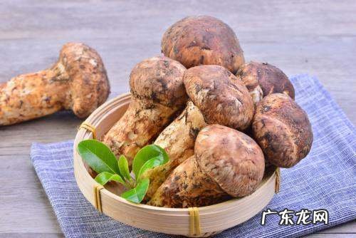 松茸保存是冷藏还是冷冻,松茸放冰箱冷藏还是冷冻