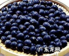 吃黑豆皮有什么好处,黑豆皮的功效与作用与什么中药相同
