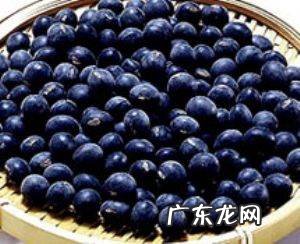 吃黑豆皮有什么好处,黑豆皮的功效与作用与什么中药相同