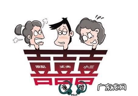 重婚罪要如何取证,事实重婚罪怎样取证